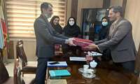 مدیران و کارشناسان مدیریت های؛ توسعه سازمان و تحول اداری و منابع انسانی دانشگاه از سوی مدیر کل بنیاد شهید و امور ایثارگران استان هرمزگان تقدیر شد.